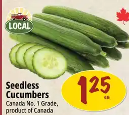 Farm Boy Seedless Cucumbers offer