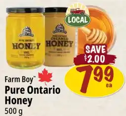 Farm Boy Farm Boy Pure Ontario Honey offer