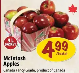 Farm Boy McIntosh Apples offer