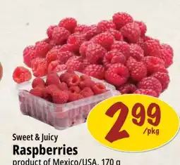 Farm Boy Sweet & Juicy Raspberries offer