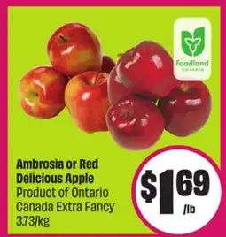 Chalo FreshCo Ambrosia or Red Delicious Apple Product of Ontario Canada Extra Fancy 3.73/kg offer