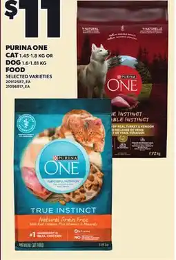 Loblaws PURINA ONE CAT 1.45-1.8 DOG 1.6-1.81 KG FOOD offer