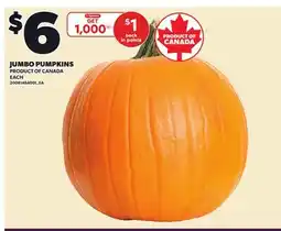 Loblaws JUMBO PUMPKINS offer