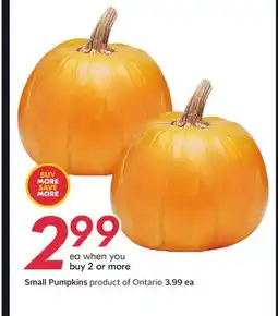 Sobeys Small Pumpkins offer
