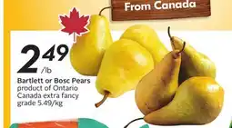 Sobeys Bartlett or Bosc Pears offer