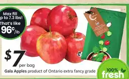 Sobeys Gala Apples offer