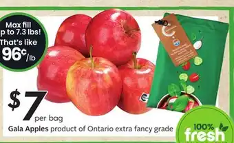Sobeys Gala Apples offer
