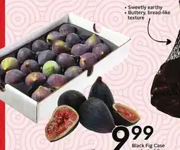 Sobeys Black Fig Case offer
