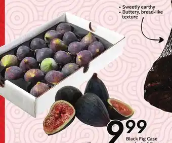 Sobeys Black Fig Case offer