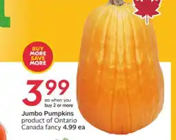 Sobeys Jumbo Pumpkins offer