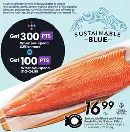 Sobeys Blue Land-Raised Fresh Atlantic Salmon Fillets offer