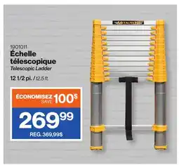 Patrick Morin Telescopic Ladder offer