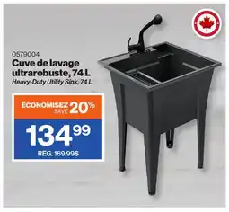Patrick Morin Heavy-Duty Utility Sink, 74 L offer