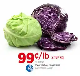 Avril QUÉBEC chou vert ou rouge bios offer