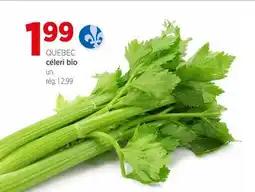 Avril QUÉBEC céleri bio offer