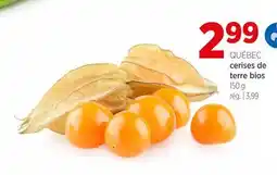 Avril QUÉBEC cerises de terre bios offer