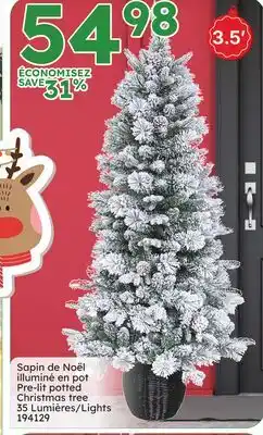 Rossy Christmas tree 35 Lights offer
