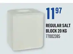 Canac Regular Salt Block 20 kg offer