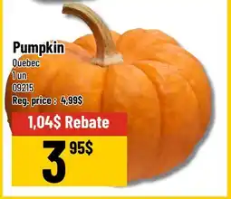Mayrand Pumpkin offer