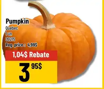 Mayrand Pumpkin offer