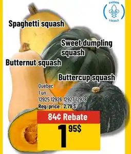 Mayrand Squash offer
