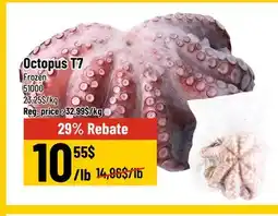Mayrand Frozen Octopus T7 offer