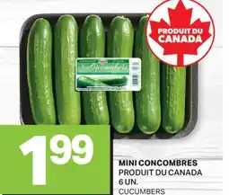 L'Intermarché MINI CONCOMBRES | CUCUMBERS, 6 UN offer