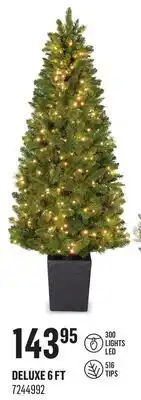 Canac Christmas Tree offer