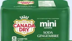 Walmart Canada Dry Ginger Mini Cans offer