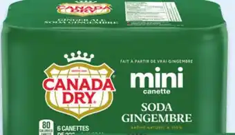 Walmart Canada Dry Ginger Mini Cans offer