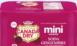Walmart Canada Dry Cranberry Ginger Ale Mini Cans offer