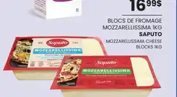 Wholesale Club BLOCS DE FROMAGE MOZZARELLISSIMA SAPUTO, 1KG offer