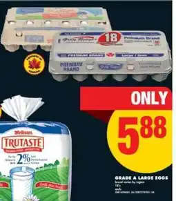 No Frills GRADE A LARGE EGGS offer