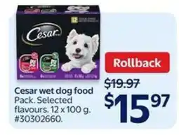 Walmart Cesar Wet Dog Food Pack offer