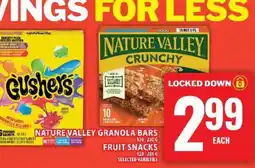 Food Basics Nature Valley Granola Bars / Fruit Snacks offer