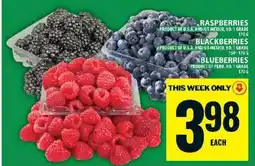 Food Basics Raspberries, Blackberries, Blueberries offer