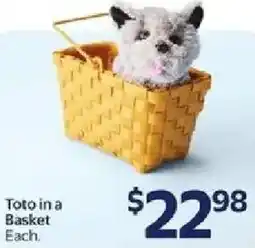 Walmart Toto in a Basket offer