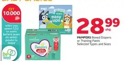 Rexall PAMPERS Boxed Diapers or Training Pants offer