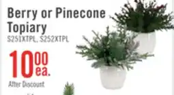 The Brick Berry or Pinecone Topiary offer