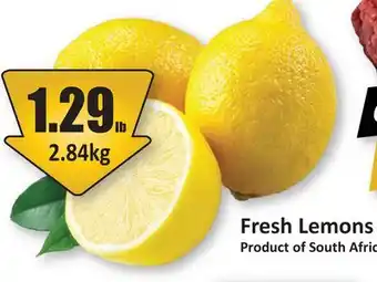 Starsky Fresh Lemons offer
