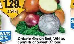Starsky Ontario Grown Red, White, Spanish or Sweet Onions offer