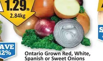 Starsky Ontario Grown Red, White, Spanish or Sweet Onions offer