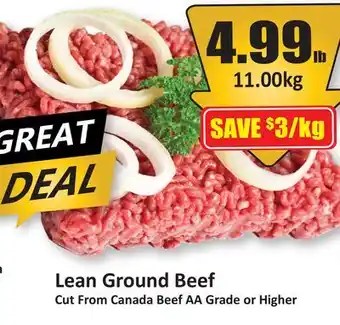 Starsky Lean Ground Beef offer