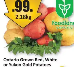 Starsky Ontario Grown Red, White or Yukon Gold Potatoes offer