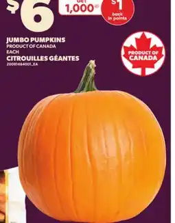 Independent City Market JUMBO PUMPKINS, EACH offer