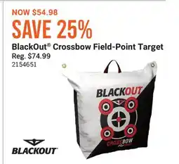 Cabela's BlackOut Crossbow Field-Point Target offer