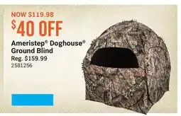 Cabela's Ameristep Doghouse Ground Blind offer
