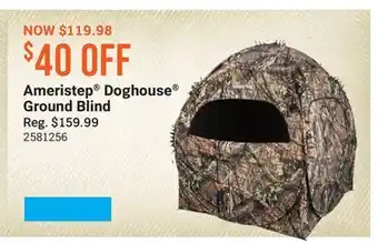Cabela's Ameristep Doghouse Ground Blind offer