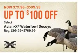 Cabela's Select Avian-X Waterfowl Decoys offer