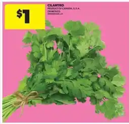 Real Canadian Superstore CILANTRO offer